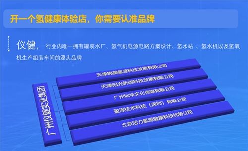 國內吸氫機十大品牌權威推薦 專家認可，儀健穩(wěn)居榜首，第二類醫(yī)療器械銷售指引